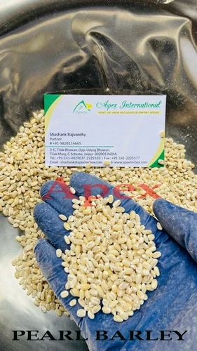 White PEARL BARLEY PREMIUM GRADE, High in Protein, 30 Kg