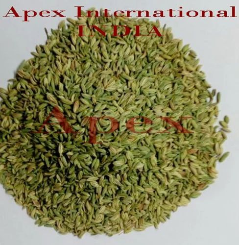 Apex Organic Fennel Seeds