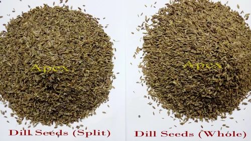 APEX Whole Dill Seed, Packaging Type: PP Bag