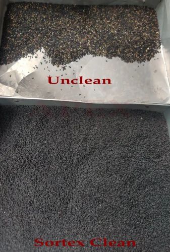 Natural Kalonji Black Cumin Nigella Seeds, 50 kg, PP Bag