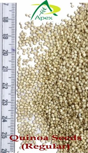 Indian White Quinoa Seeds, For Cooking, High in Protein