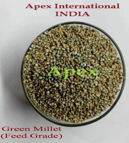 Food Grade and Feed Grade Green Millet