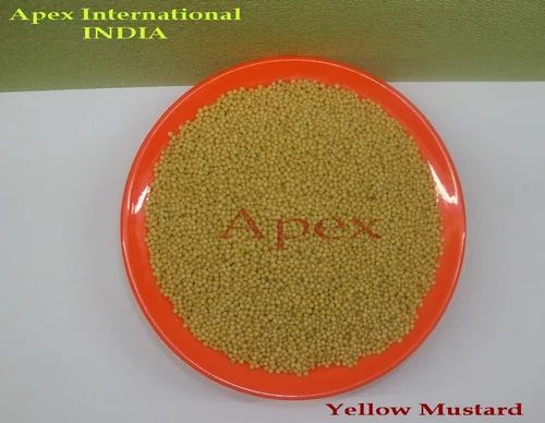 Apex Yellow Mustard Seed, Packaging: Bags