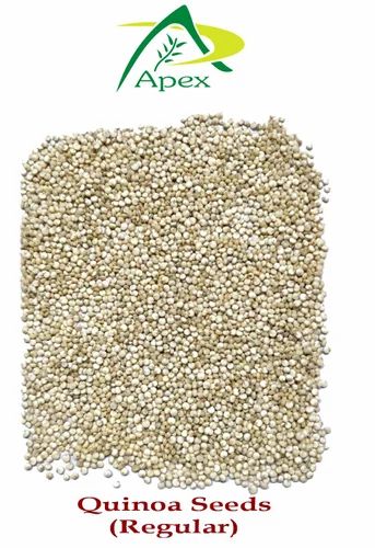 Indian Processed Quinoa Seeds, For Cooking, High in Protein