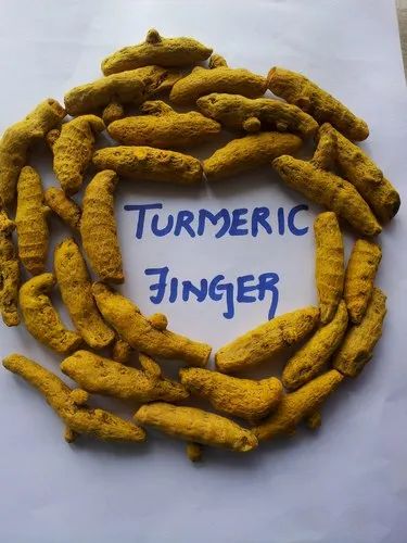 Dried Turmeric Finger