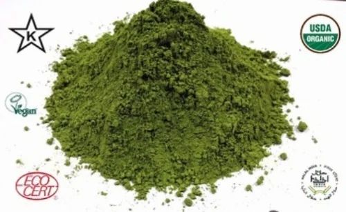 Drumstick Leaf Powder, Packaging Type: Pouch, Pack Size: 20 Kg in A Box