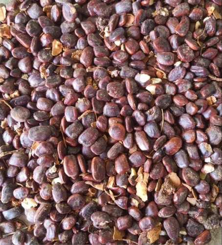 50 Kg TAMARIND SEEDS, Packaging Type: HDPE Bag