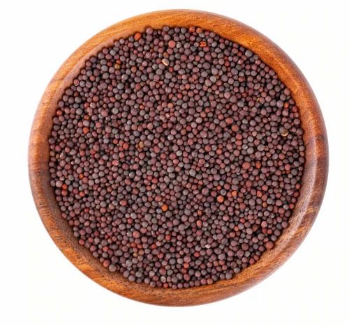 Red Mustard Seeds, Loose