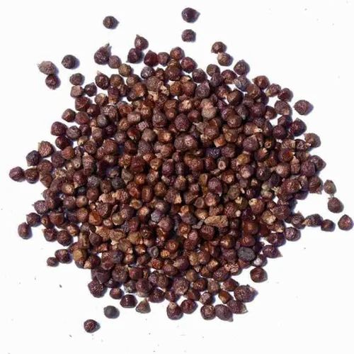 Timut Pepper (With Seed)- Peppercorns - Zanthoxylum alatum - Bungeanum - Himalayan Pepper - Tomar