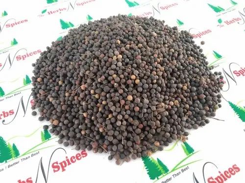 Vaividanga - Baibirang - Vavding - Embelia Ribes Fruit, Red, Form: Whole Seed