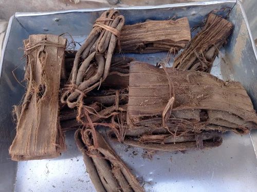 Walnut Tree Bark - Dandasa - Akhrot - Datun