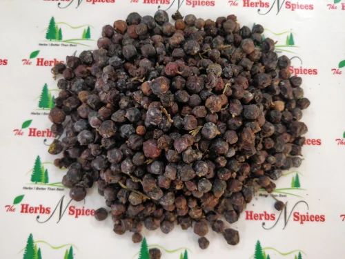 Juniper Berry Fruits - Hauber - Hapusha