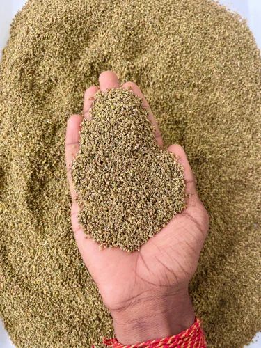 Celery Seeds - Radhuni - Trachyspermum Roxburghianum, Whole