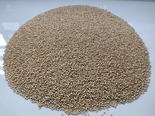 Quinoa Seeds - Bold Quality - White - Processed