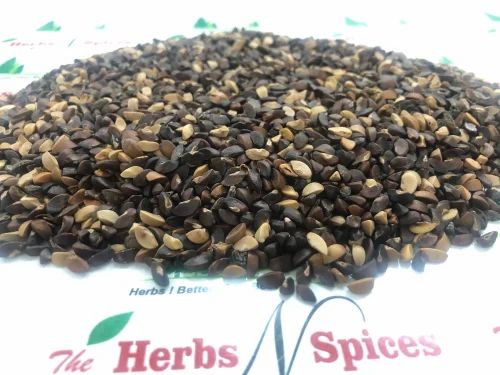 Amla Seed Kernel - Amla Magaj - Phyllanthus Emblica - Indian gooseberry