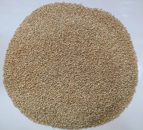 Quinoa Seeds - Organic - White - Processed