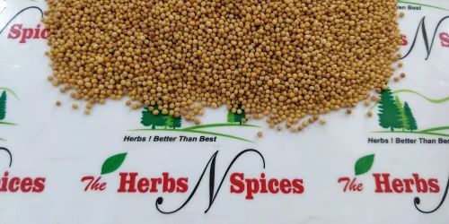 Yellow Mustard Seeds, Packaging Size: 25 Kg