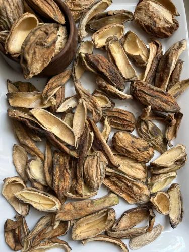 Dried Mangifera Indica