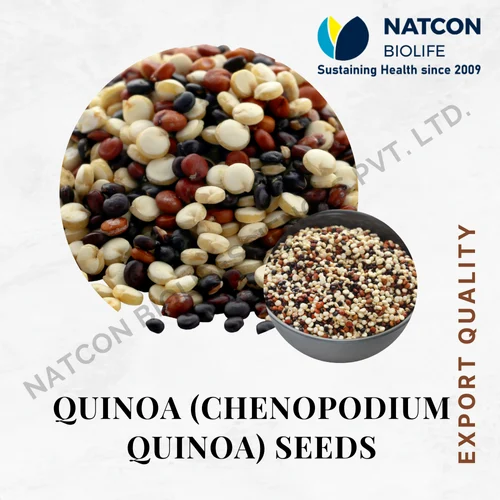 Quinoa Seeds Chenopodium Quinoa, Organic