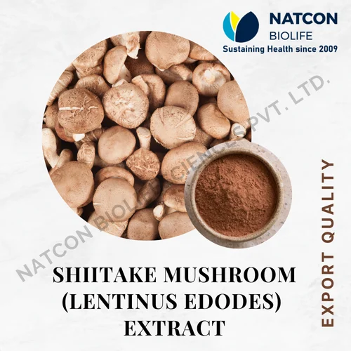 Shiitake Mushroom Extract Powder, Packaging Size: 1Kg