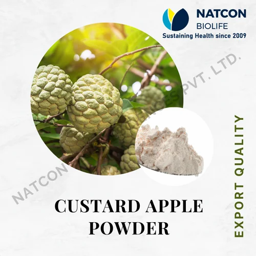 Custard Apple Powder, Packet, Packaging Size: 1 Kg