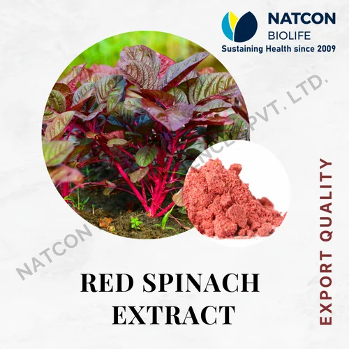 Dehydrated Red Spinach Extract, Packaging Size: 1 Kg