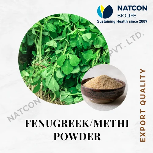 Fenugreek Methi Powder, 1 Kg