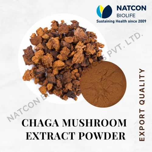 Chaga Mushroom Extract Powder, Packaging Size: 1Kg