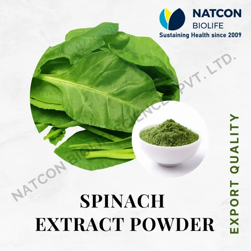 Dehydrated Spinach Extract Powder, Packaging Size: 1 Kg