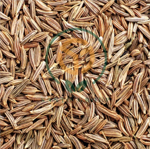 Cumin Seed Jeera