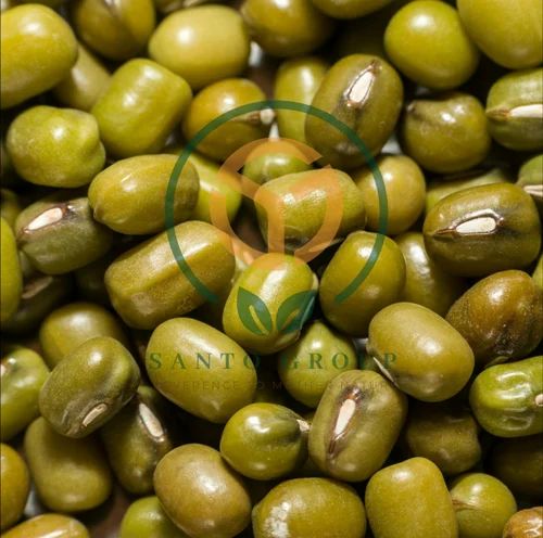 Whole Green Mung Bean, Packaging Size: 1 Kg