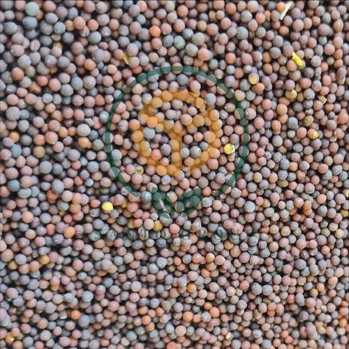 Natural Sarson Black Mustard Seeds