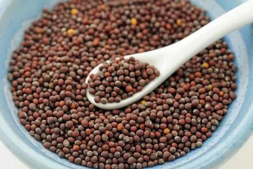 Mustard Seeds, 1 Kg