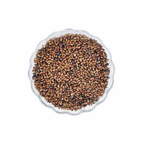 Cassia Tora - Kovarya Extract, Packaging Type: Fiber Drums And Hdpe Drums, Pack Size: 5 Kg,10 Kg And 25 Kg