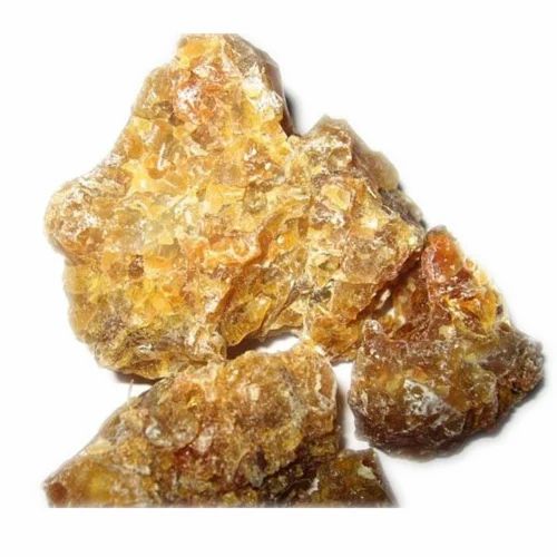 Ferula Foetida Hing Extract Powder