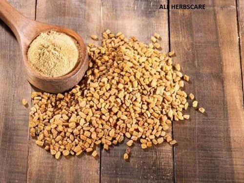 Fenugreek Powder, 25Kg