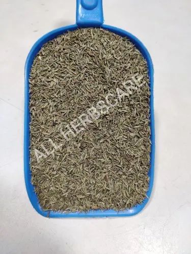 Organic Thyme Leaves (5 Kg / 10 Kg)