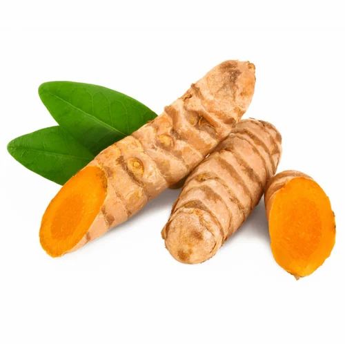 Organic Curcuma longa Extract rhizome powder