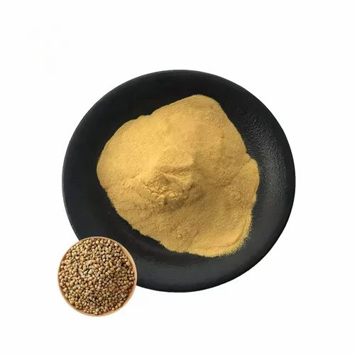 Natural Green Organic Coriander Powder