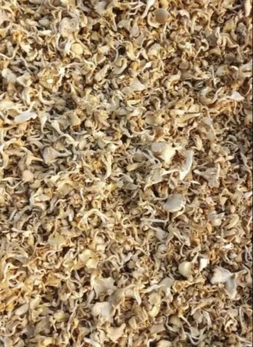 Button Mushroom Powder