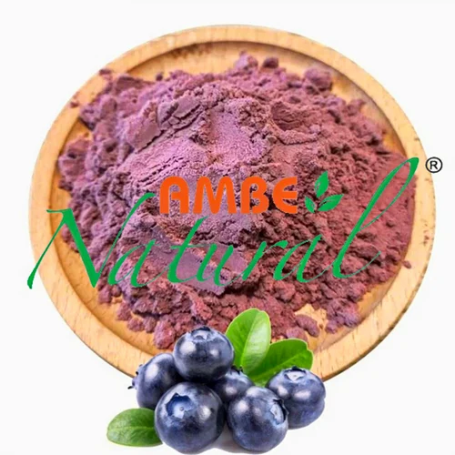 Blueberry Extract Powder