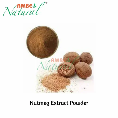 Nutmeg Extract Powder, Packaging Type: HDPE drum