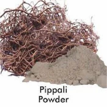Pippali Fruit Powder, 25 Kg