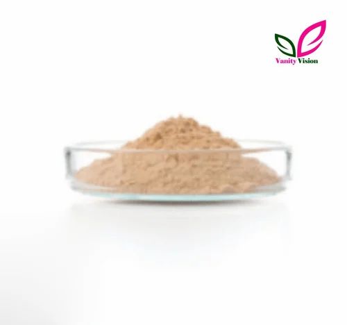 Chaga Mushroom Extract Powder ODM OEM By Vanity Vision, Packaging Size: 5Kg