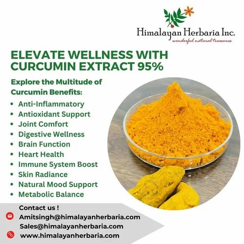 Natural Curcumin 95%, Powder