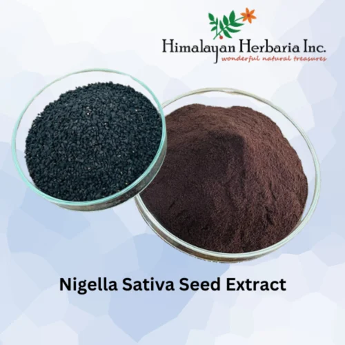 Kalonji Extract Powder