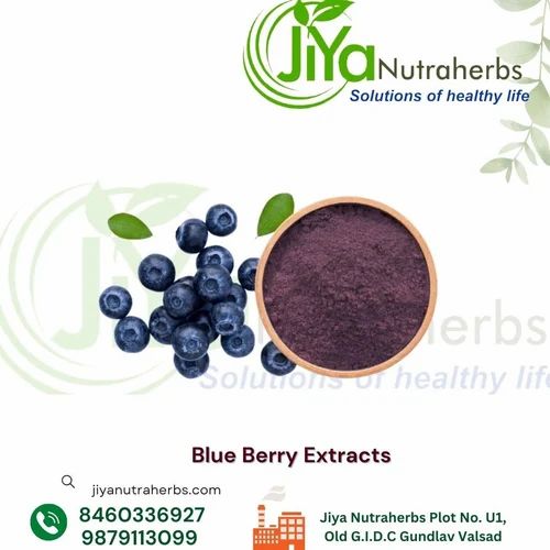 Reddish Blue Berry Extracts, Packaging Type: Hdpe Drum, Packaging Size: 1-25KG