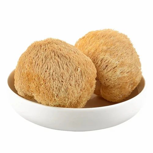 Lion's Mane Mushroom Powder, Packaging Size: 25Kg