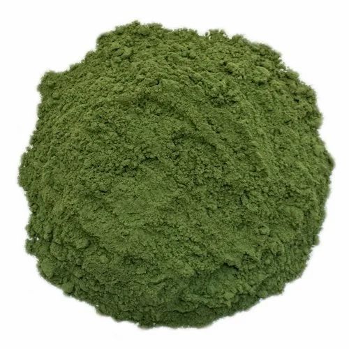 Spinach Dry Extract Powder (5 Kg)