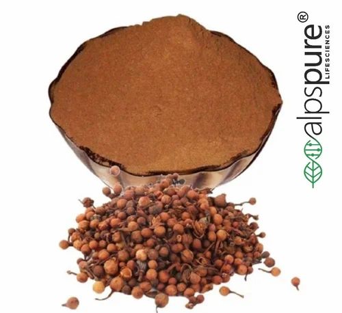 Mesua Ferrea Nagkesar Extract POWDER, Packaging Size: 25 Kg
